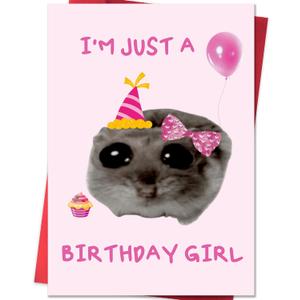 IDU Funny Birthday Cards for Women,Happy 10th 13th 16th 17th 18th 21st 25th 30th 40th Birthday Card Gifts for Girls Friends Wife Girlfriend Sister Bestie,Hamster Meme Birthday Gifts & Decorations (ZN225)
