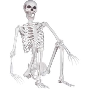 Halloween Skeleton, Realistic Life Size Skeleton with Movable Joints for Halloween Party Haunted House Indoor Outdoor Decoration (5.4ft-1P)