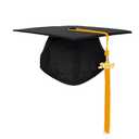 FtyFty Unisex Adult Matte Graduation Cap with Tassel Year Charm (Black with Gold)