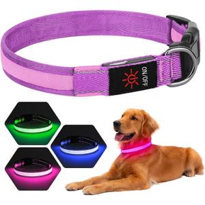 LED Dog Collar USB Rechargeable - Light Up Dog Collar Safety Pet Collars with Lights for Night Walking, Camping (Pink, M)