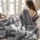 Bedsure Frost Gray Fleece Blanket for Couch - GentleSoft Cozy Soft Blankets for Women, Cute Small Throws for Girls, 60x80 Inches