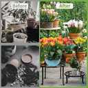 Metal Plant Stand 5 Pack Plant Stands for Indoor Outdoor Plants Multiple Heavy Duty Flower Pot Stand Holder Rustproof Iron Round Plant Shelf for Planter Outdoor Plant Stand for Patio & Garden Dcor