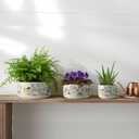 Ceramic Plant Pots Set of 3, Planters & Container Accessories Planters Indoor Outdoor Flower Planter for Home, Garden, Office Dcor 6 5 4 (SH008)