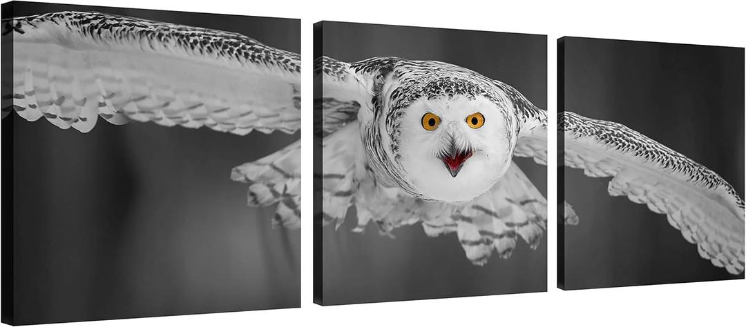 Black and White Barn Owl Wall Art Canvas Bird Decor Red Beak Owl Pictures on Wall Art for Home Office Decorations Living Room Bedroom and Kitchen Decor 3 Pcs Framed Canvas Prints 12X12inches (12x12inchx3pcs(30x30cmx3pcs), Red Beak Owl Wall Art)