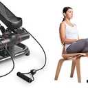 Sunny Health & Fitness 2-in-1 Premium Power Stepper with Resistance Bands + Magnetic Under Desk Mini Exercise Cycle Bike, with Digital Monitor and Carrying Handle