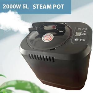 HOSOUTION 5L Sauna Steamer with Larger Volume and More Steam Output, Fcc Certified 5L & 2000W Steam Generator, Sauna Steamer Machine with Remote Control, Portable Sauna Steamer, Black