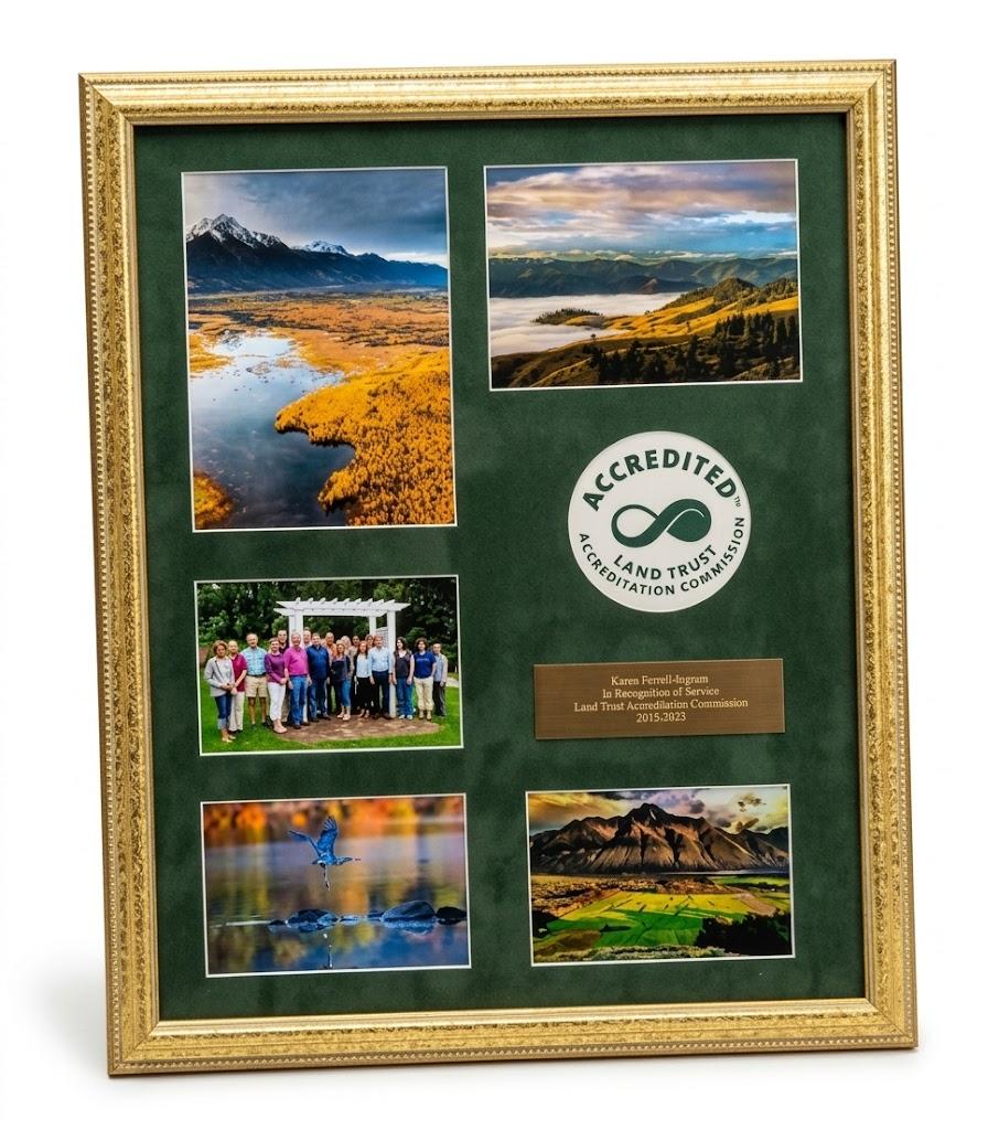 Gold Picture Frame, 22*18