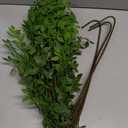 Uqueeten Fake Plants Eucalyptus Stems,Plastics Ficus Stems for Vase Artificial Plants,Greenery Stems for Vase Faux Plants Indoor,43.3" Faux Greenery Indoor Vase Fillers for Home Decor(3Pcs Orange)