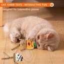 2 x 2-Pack Silvervine Sticks for Cats, Natural Matatabi Chew Toys for Indoor Cats, Dental Cat Chew Sticks for Kittens, Safe Catnip Alternative for Teeth Cleaning & Stress Relief