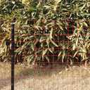 Red PVC Coated Welded Wire Fence 36 Inch x 50 Foot, 2 Inch x 3 Inch 16GA, Garden Border Fencing Roll Vinyl Coating Metal Wire Mesh for Yard Vegetable Plant Protection Poultry Netting