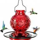 Glass Hummingbird Feeder for Outdoors, 24Oz Decorative Hanging Hummingbird Nectar Feeder, Leak Proof Durable Wild Bird Feeders, Hummingbird Gifts for Women & Mom, Garden Decor Window Feeder, Red