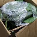 7.6 Feet Fiddle Leaf Fig Artificial Tree with Lush Leafy Foliage in Large Decorative Planter Faux Fake Plants for Home Office Decor Suitable for Indoor Outdoor Use