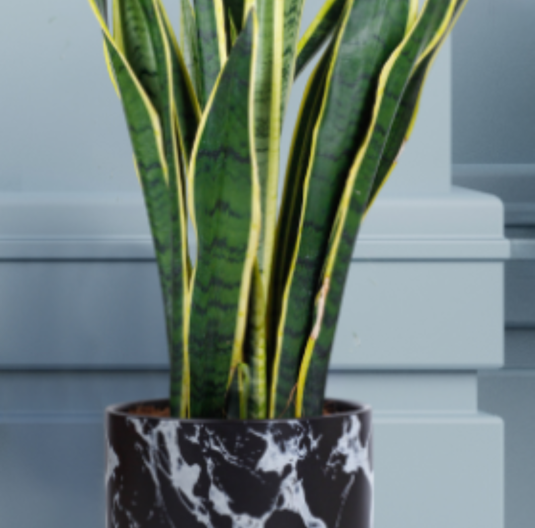 GJCR products 10 Inch Round Ceramic Planter with Tray, White Marble Finish, Indoor Plant Pot with Drainage Mesh and Scratch Pad
