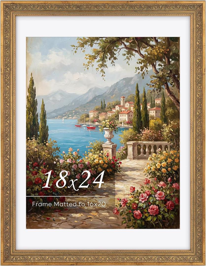 Golden State Art 18x24 Ornate Picture Frame Display 16x20 Photo With Mat