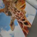 Light Covers for Ceiling Lights -Magnetic Cloud Cover LED Fixture 2ft x 4ft Classroom,Home,Office Decoration Filters Overhead Lighting- Giraffe