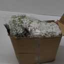 100 Pcs Babys Breath Artificial Flowers, Baby Breath Flowers Artificial Bulk, Real Touch White Fake Flowers, Faux Babies Breath Gypsophila for Wedding Home Decor Floral Arrangement