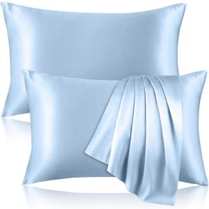 2 Pack 100% Pure Silk Pillowcase for Hair and Skin, Both Sides Mulberry Silk Pillowcases with Hidden Zipper, Cooling Pillowcase 19 Momme, 600 Thread Silk Pillow Cases Standard Size, Light Blue