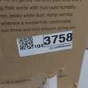 Pro Baby Evaporative Humidifier for Bedroom, MistFree & No White Dust, BPA-Free and 16dB Quiet Sleep for kids, 3 Age-Modes, Auto Control, Tap Water Safe, 4L Easy Clean Tank for Nursery