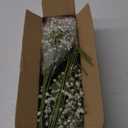 36 Pcs Babys Breath Artificial Flowers, Baby Breath Flowers Artificial Bulk Long Stem Fake Babies Breath Faux Gypsophila White Flowers Artificial for Decoration (No Eucalyptus Stems)