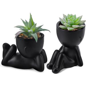 Der Rose Set of 2 Fake Plants Artificial Succulent Plants for Office Desk Accessories Black Bathroom Home Room Aesthetic Decor Indoor, Black 