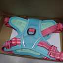 PHOEPET No Pull Dog Harness, Unique Colors Reflective Adjustable Dog Vest, with Soft Training Handle Metal Clips for Small Medium Large Dogs (Mint Green Base & Pink Straps,S)