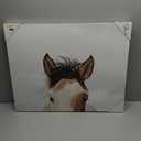 Home It's in the Eyes Printed Canvas