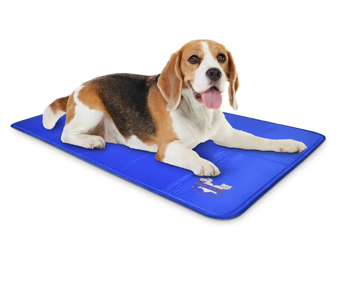 Dogs Rock DR111BLUE Cooling Mat