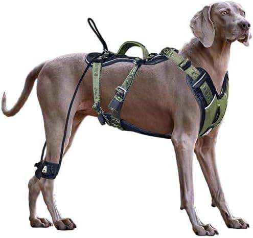No Pull Dog Harness for Large Dogs, Heavy Duty Tactical Dog Harness with Handle, Easy Control and Training Better Leash Manners (Moss Green, Medium)