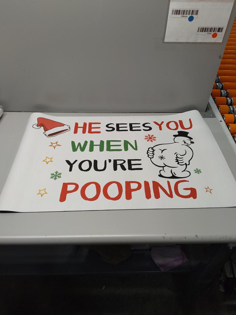 Bathroom Decor, Funny Hedgehog Welcome Mats for Bathroom Washroom Restroom Toilet, Funny Door Mat for Outdoor Indoor Porch Entryway, 17x30 Inches