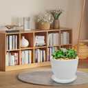 Round Plastic Plant Saucers Set, 6-Pack, 7.6 Inches (6.4 Inch Base) Pot Drip Trays, Ideal for Indoor and Outdoor Home Garden Flower Pot Containers. (White)