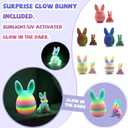 3D Printed Easter Eggs with Bunny Inside,Easter Surprise Rabbit Eggs,3D Printed Animals, Easter Basket Stuffers,Fidget Toys Gifts (6PCS)