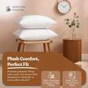 White Square Pillow Inserts (Pack of 2, 22"x22", Polyester) - Stylish Home Comfort & Premium Cushion Fillers for Sofa, Living Room, Bed, and Chair