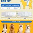 Powools Male Dog Wraps, 96 Count Disposable Dog Diapers, Medium