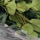 Kisflower 5 Pack 6.56FT Green Eucalyptus Garland for Decoration Table with Willow Leaves Greenery Garland Fake Hanging Plants Vines for Wedding Arch Decor Party Room Home Garden Office Wall Decor