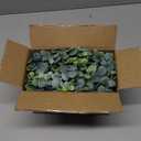 DearHouse Faux Eucalyptus Garland Plant, 2 Pack Artificial Vines Hanging Eucalyptus Leaves Greenery Garland for Wedding Backdrop Arch Wall Decor, 6 Feet/pcs UV Protected Indoor Outdoor