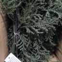 Nearly Natural 5ft Artificial Cedar Garland – Realistic Faux Greenery Vine for Fireplace Mantle, Holiday Table Runner, and Christmas Home Decor – Green