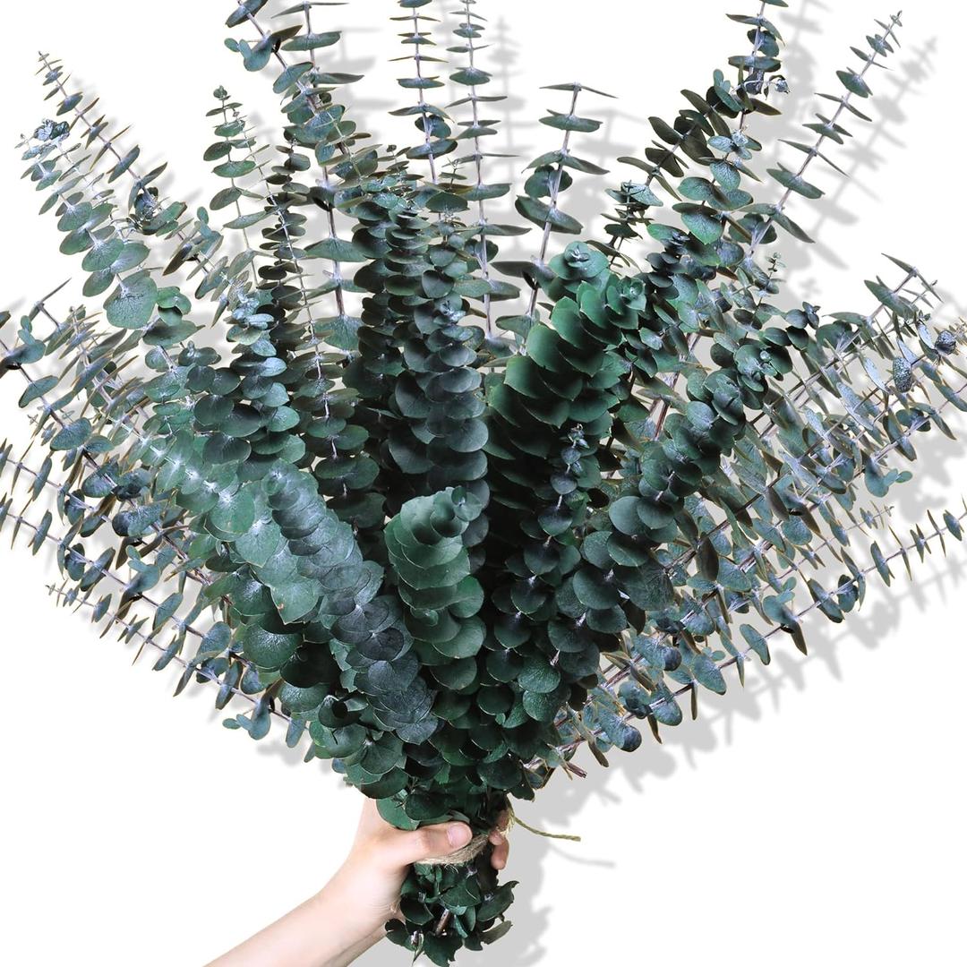 30Pcs Dried Eucalyptus Stems, 17" Real Preserved Eucalyptus Plant for Shower, Fresh Natural Branches for Vase, Eucalyptus Bundle for Home Decor, Wedding, Baby Shower, Bathroom