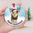 2 x Christmas Ornament - Lion Merry Christmas Ceramic Ornament, Xmas Tree Decoration, Hanging Ornament, for Family, Friends, Animal Lovers