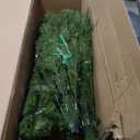 National Tree Company 9 ft Unlit Dunhill Fir Full Artificial Christmas Tree, 4,026 Tips, Includes Stand, Green