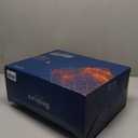 Bedsure Heated Mattress Pad King - Bed Warmer with Memory & Preheat Functions, 12-Hour Auto Off & 10 Heat Settings, Dual Controllers, Fast Heating, Coral Fleece Electric Mattress Pad King, 78"x80"