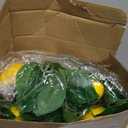 3 Pcs 5.74 ft Artificial Lemon Garland Lemon Vine Garland with Greenery Fake Fruit Party Decoration with Battery Powered Light for Home Door Wall Mantel Wedding Kitchen Table (Classic Style)