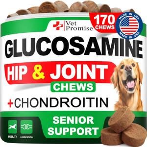 Advanced Glucosamine for Dogs - 170 Chews - Senior Hip and Joint Supplement for Dogs - Glucosamine Chondroitin - Dog Joint Health Pain Relief Pills - MSM - Mobility Support Supplement - Made in USA