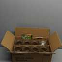 Ruckae 16oz 8 Pack Juice Bottles, Glass Bottles Juicing with Lids, Smoothie Cup Lids and Straws, Water Bottle Mason Jar Drinking Glasses for Juicing, Smoothies, Kombucha (Transparent)