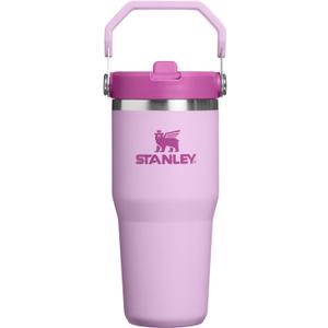 STANLEY IceFlow 2.0 Flip Straw Tumbler with Handle 14 oz | Twist On Lid and Flip Up Straw | Leakproof Water Bottle | Insulated Stainless Steel | BPA-Free | Soft Orchid