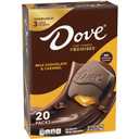DOVE Large PROMISES Milk Chocolate Caramel Candy, 2.75oz (Pack of 20)