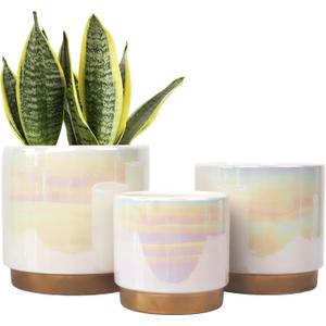 Gepege White Indoor Pots for Plants, Ceramic Planter with Drainage Hole, 6.0 inch+5.0 Inch+4.0 Inch. Succulent Orchid Flower Pot - Rainbow Pearl Glaze