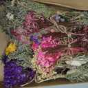 36 PCS Charming Dried Flowers Bouquet for Vase Various Dried Wildflowers with Stems Mini Handmade Wildflowers Natural Real Flowers Bulk Flowers for Crafts DIY Wedding Decor (Various Series)