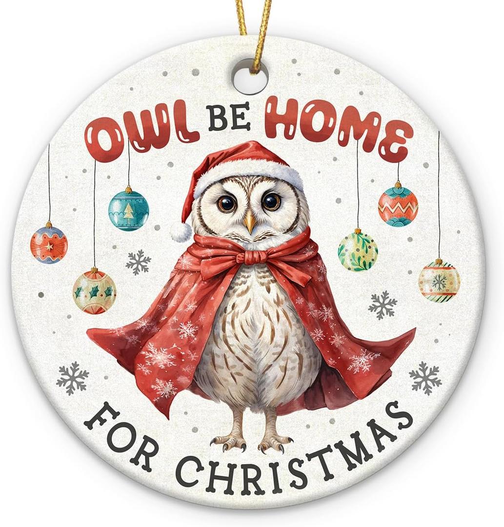 4 x Owl Ornaments for Christmas Trees - Unique Owls Gifts for Women, Men, Family, Coworker, Xmas Gifts for Owl Lovers, Animal Lover Gift for Friends Neighbors, Ceramic Bird Ornaments