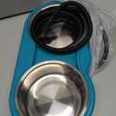 Heated Cat Bowl  Double Removable Stainless Steel Bowls, Freeze-Proof Water & Food, Overheat Protected, Chew-Resistant Cord, UL Listed (lake blue)