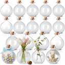 Tessco for you 12 Pcs 8.5 oz Glass Potion Bottles with Cork, Round Spherical Apothecary & Decorative Bottles for Candy, Spices, Vanilla Extract, Wish Messages, Snow Globe & DIY Crafts (Classic)